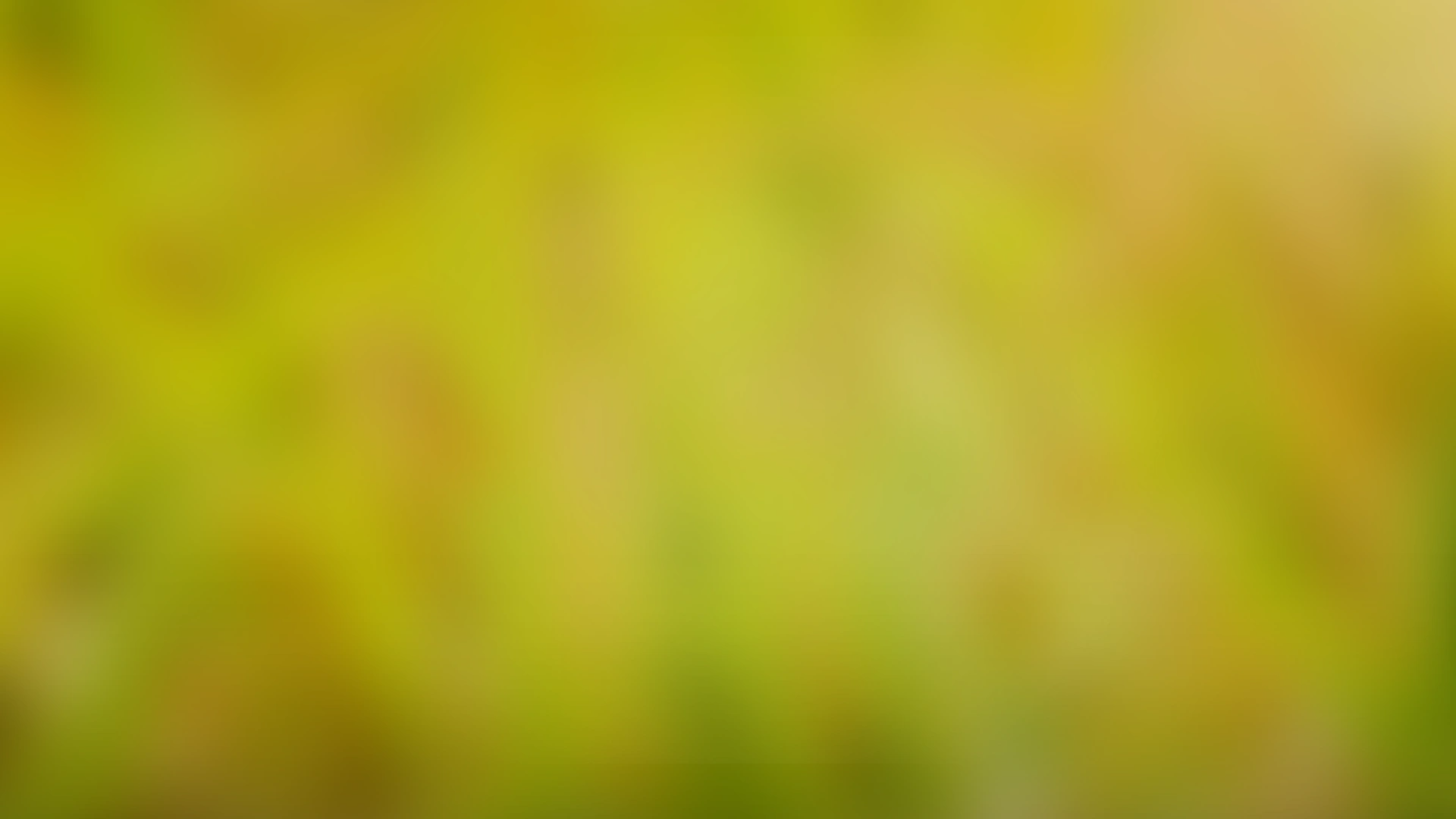 bg1